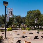 Photo by Abilene Christian University Admissions (@WelcometoACU)