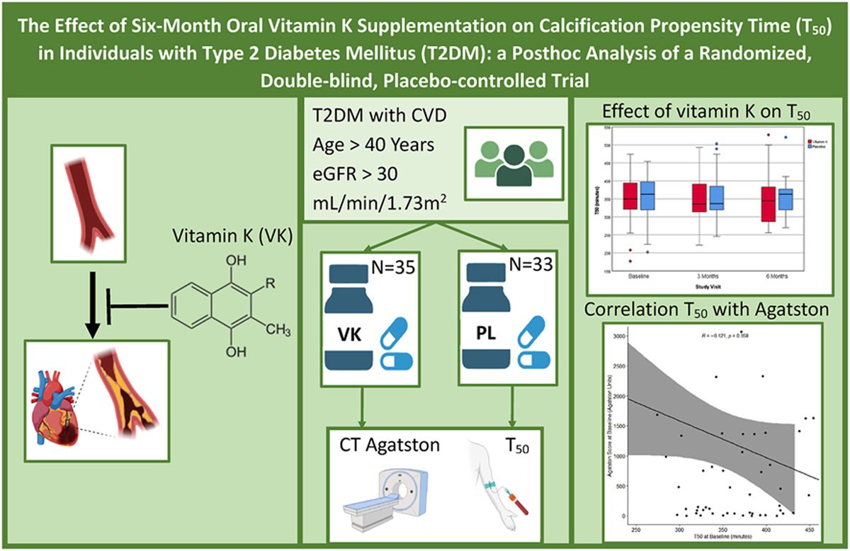 ATHjournal's tweet photo. Further research on Vit K in arterial calcification and on the validity of serum calcification propensity time as arterial calcification marker is warranted. In the meantime, don't miss the study by Meer et al!
🔗https://t.co/ojc3wmwMry
#CvPrev @society_eas @ELS_Cardiology #VitK https://t.co/F3SzE1p57j