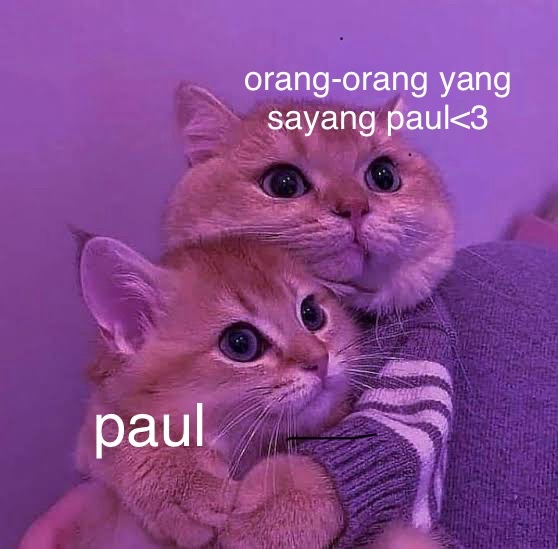 @manpaularo @iiidii_ii paul, life may not always be easy but i hope you remember that you loved by (so so soooo) many. we’re here always! semoga apapun yang sekiranya sedang memberatkan pikiranmu segera diringankan yaa. sehat-sehat paul💚