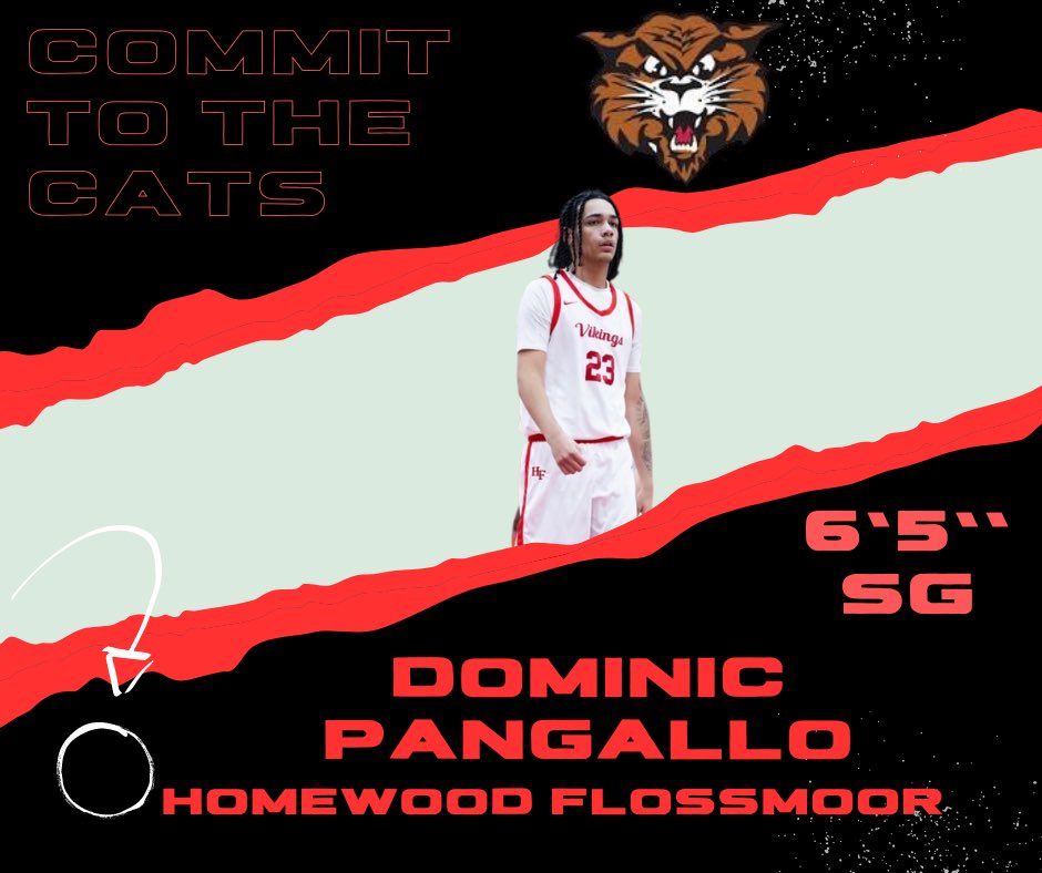 Third Commit:

Name: Dominic Pangallo (<a href="/PangalloDominic/">Dominic Pangallo</a> )

Height: 6’5
School: Homewood Flossmoore (IL) <a href="/HFVikingHoops/">HF Basketball</a>
