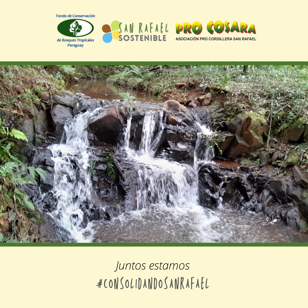 PRO COSARA tweet media