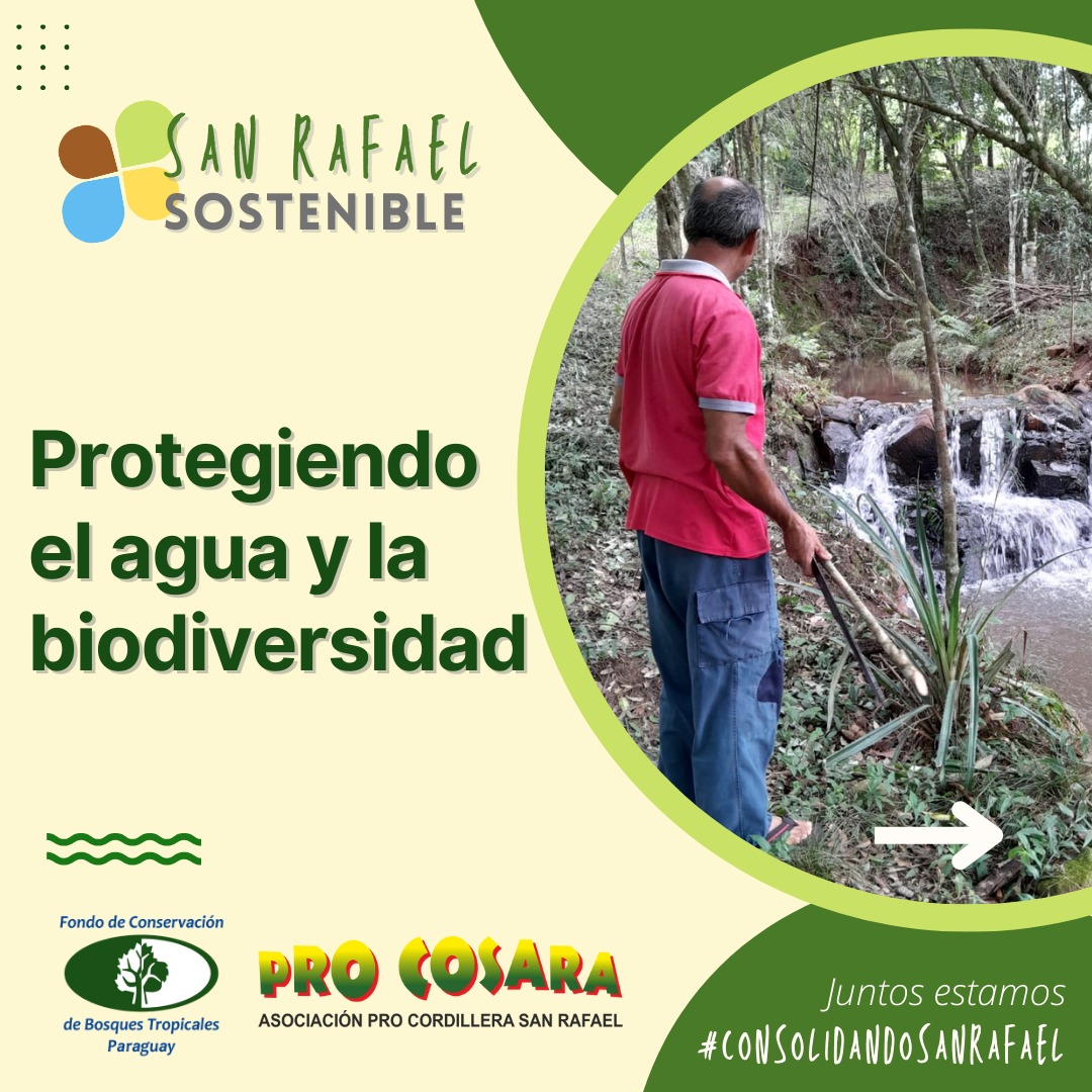 PRO COSARA tweet media