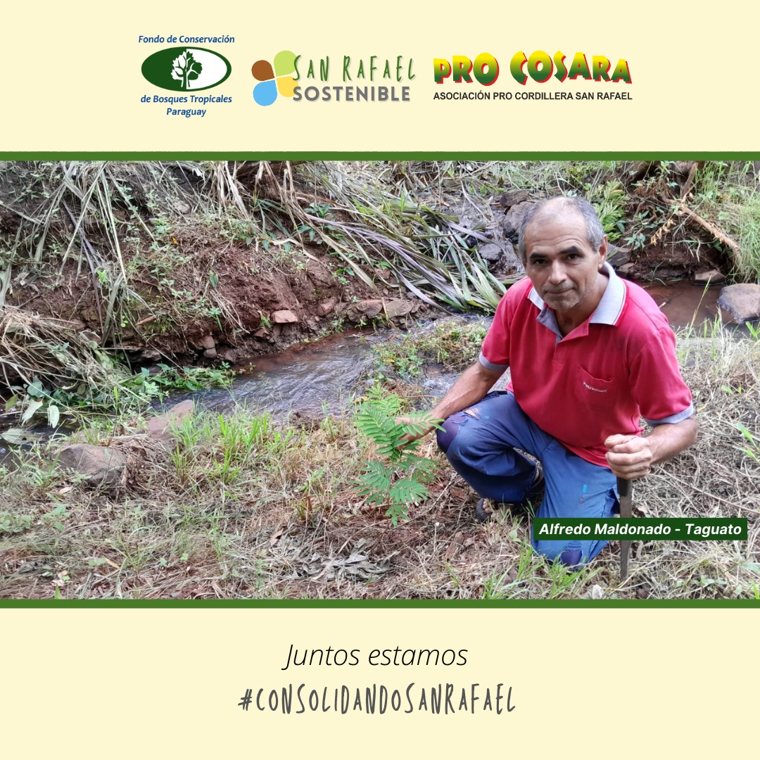 PRO COSARA tweet media