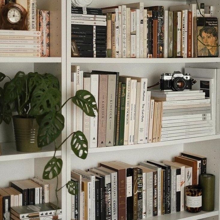 studiesslara's tweet image. ⋆ ˚｡⋆୨୧˚
𖦹 lara, '06
estudante do 3° EM
foco no enem + uerj

♡; taylor swift, livros, dança, friends, história e bichinhos ☕️🎞️🩰