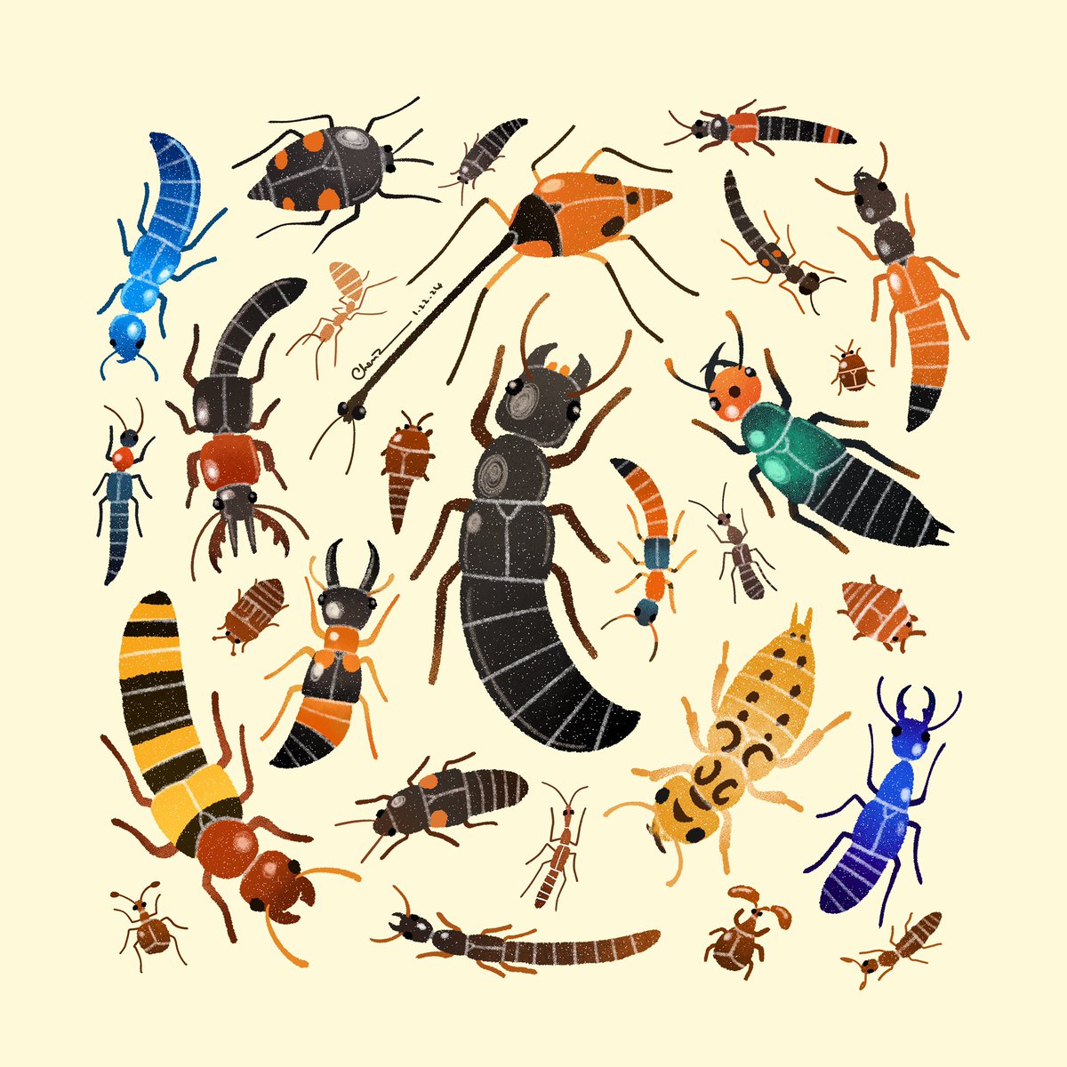 czbugsart's tweet photo. Staphylinidae (rove beetle), one of the most diverse groups of living things on this planet 🪲 https://t.co/nW8W1XfpBj