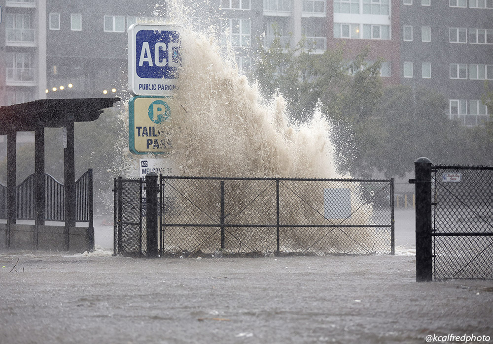 K.C. Alfred tweet media