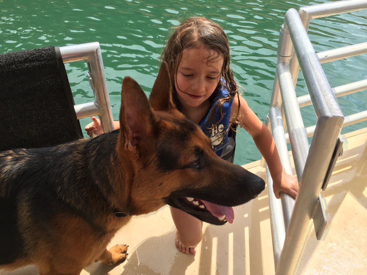 Shasta Marina Resort at Packers Bay tweet media