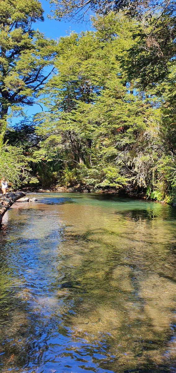 BorisvanderSpek's tweet photo. Four very much recommended places in southern Chile that are cheaper, more pristine and less hectic than Pucón:
- Icalma
- Contulmo
- Malalcahuello
- Futaleufú https://t.co/o0EXQ5PCAb
