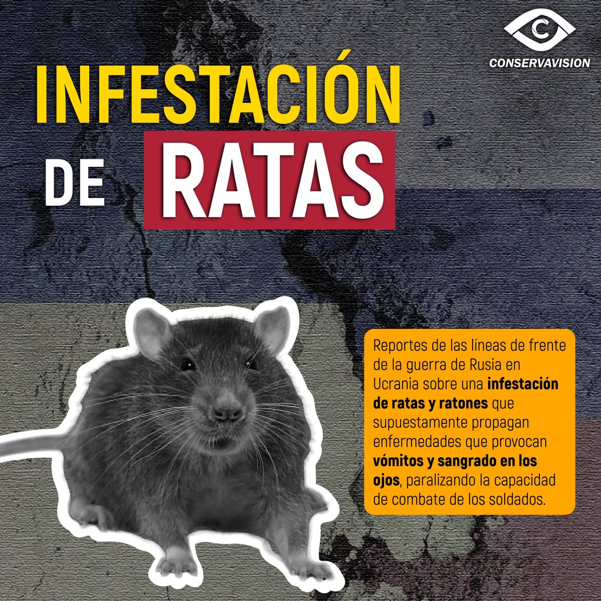 El informe dice que la enfermedad se transmite de ratones a humanos "al inhalar el polvo de las heces del ratón o por la ingestión de heces de ratón en los alimentos” 🐀🪖

#Noticias #Internacionales #Salud #Guerra #Rusia #Ucrania #Infestacion #Enfermedad 
#Ratas #Ratones #Alerta