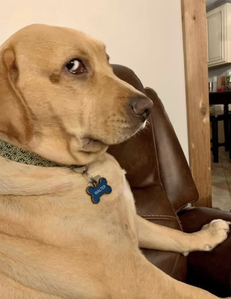 rena.⠀

man i really need to be active here