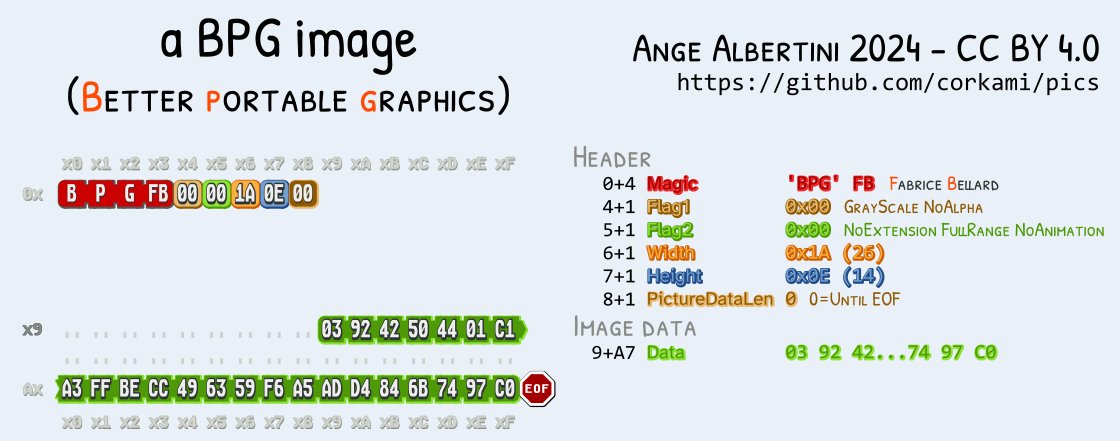 BPG - Better Portable Graphics - was created by Fabrice Bellard (LzExe / FFMpeg / QEmu...) and has a very compact header with variable integers, yet it has a proper magic.