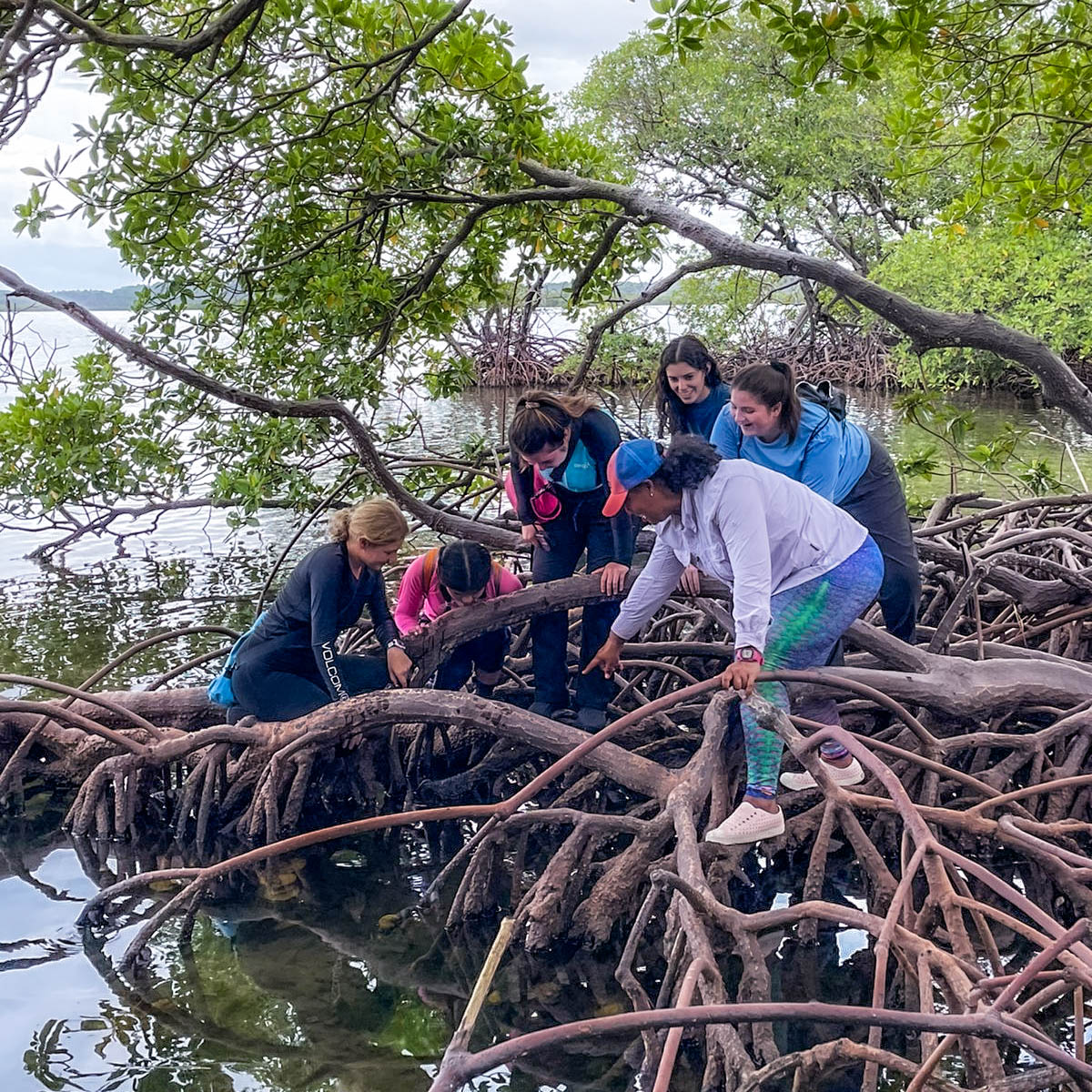 “Social science is not an ‘add on’ to #MarineConservation, it is an essential part of the equation” - Dr. Cinda Scott (@cindaseasworld) #OceanEquity #MangroveEquity @TheSFS Check out Cinda's new publication: link.springer.com/article/10.100…