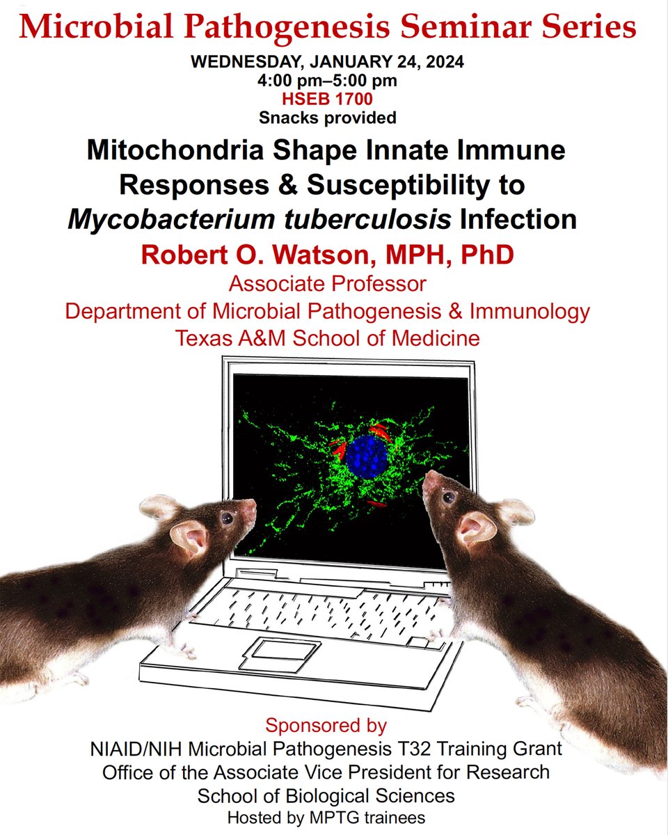 Mulvey Lab (@mulveylab) on Twitter photo The one and only Robbie Watson (<a href="/The_PW_Lab/">ThePatrick&WatsonLabs</a>) is presenting at our MPTG T32-sponsored Microbial Pathogenesis Seminar this Weds, 4 PM!!
<a href="/UofUBiology/">University of Utah School of Biological Sciences</a> @NIAIDTraining <a href="/UofUHealth/">University of Utah Health</a> <a href="/UofUResearch/">Research at the U</a> <a href="/UUtah/">University of Utah</a> The one and only Robbie Watson (<a href="/The_PW_Lab/">ThePatrick&WatsonLabs</a>) is presenting at our MPTG T32-sponsored Microbial Pathogenesis Seminar this Weds, 4 PM!!
<a href="/UofUBiology/">University of Utah School of Biological Sciences</a> @NIAIDTraining <a href="/UofUHealth/">University of Utah Health</a> <a href="/UofUResearch/">Research at the U</a> <a href="/UUtah/">University of Utah</a>