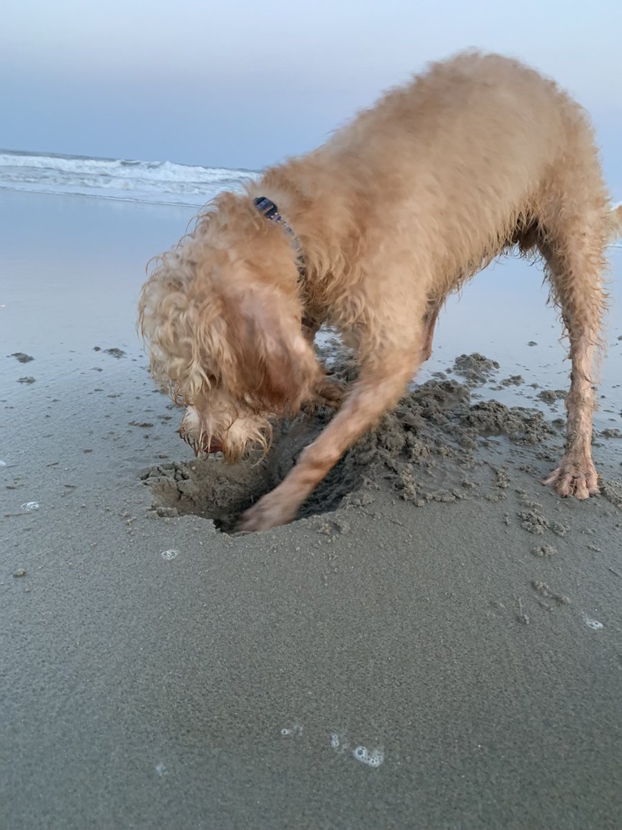 Caitlyn Bellezza tweet media