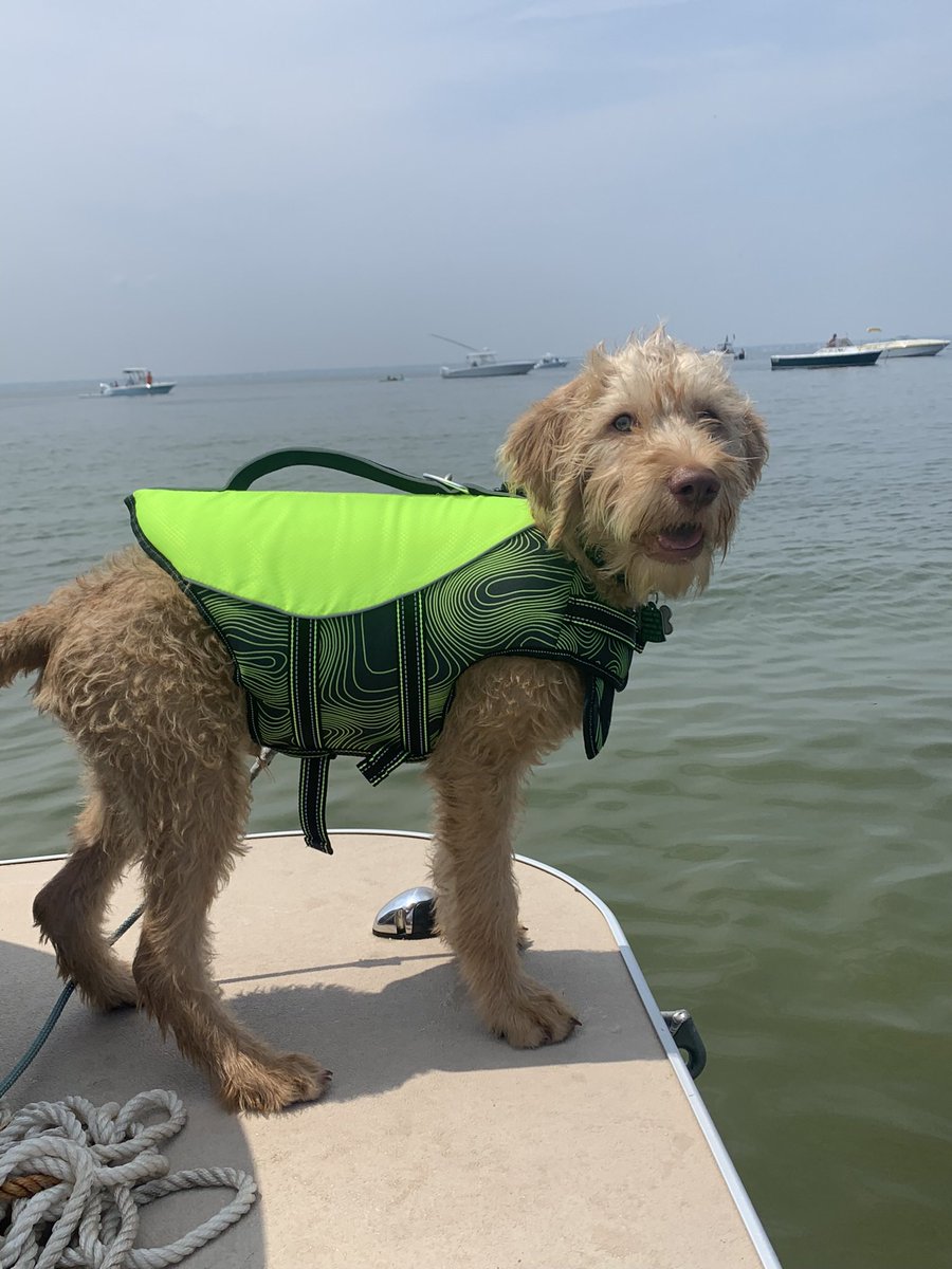 Caitlyn Bellezza tweet media