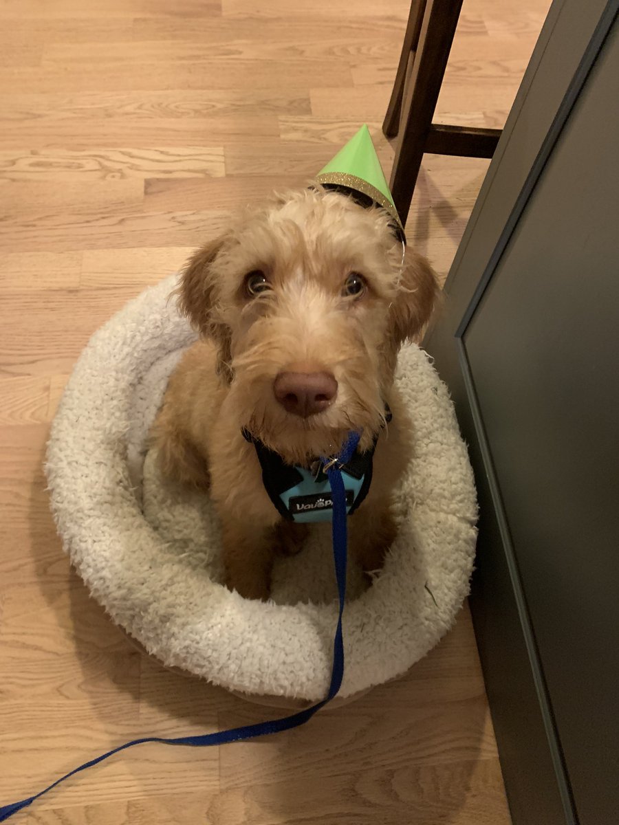 Caitlyn Bellezza tweet media