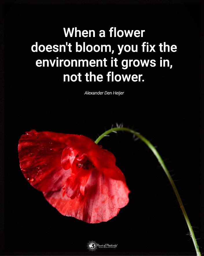 “When a flower doesn’t bloom..."