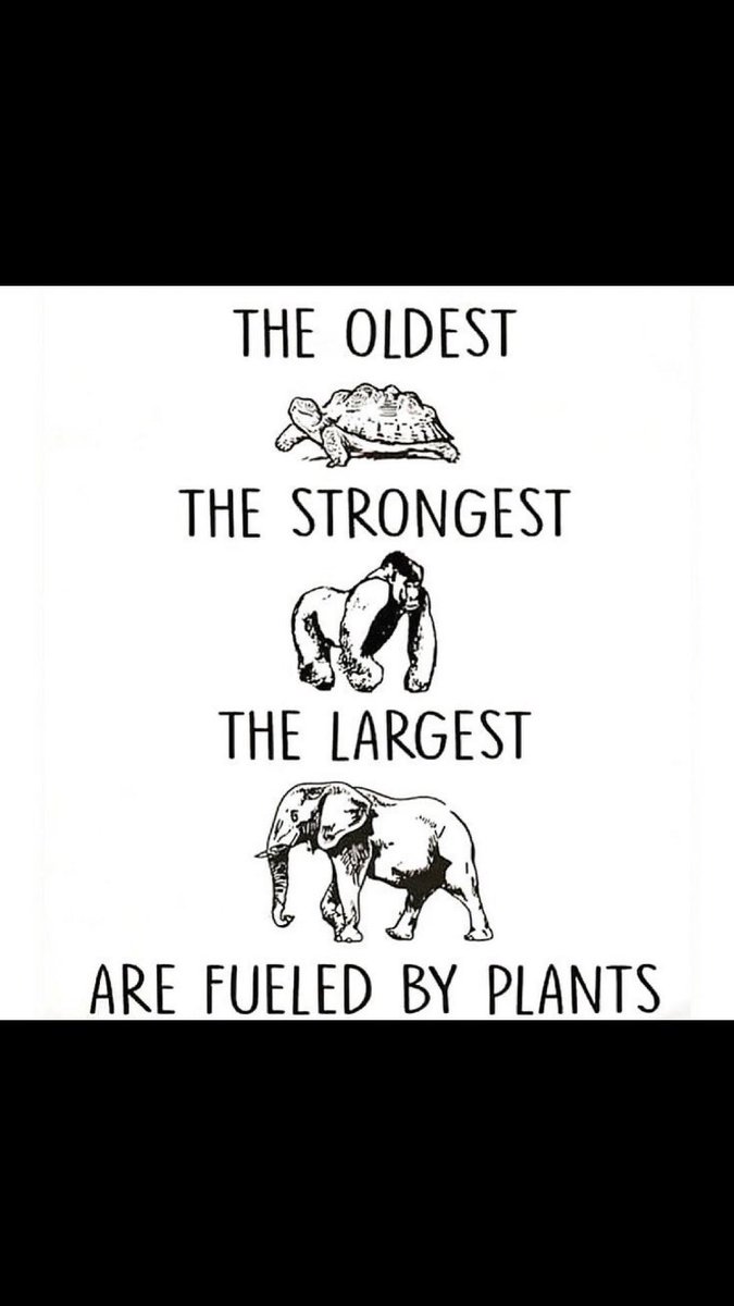 Cherry Cecilia Ⓥ ✌🏽💚🍒 tweet media