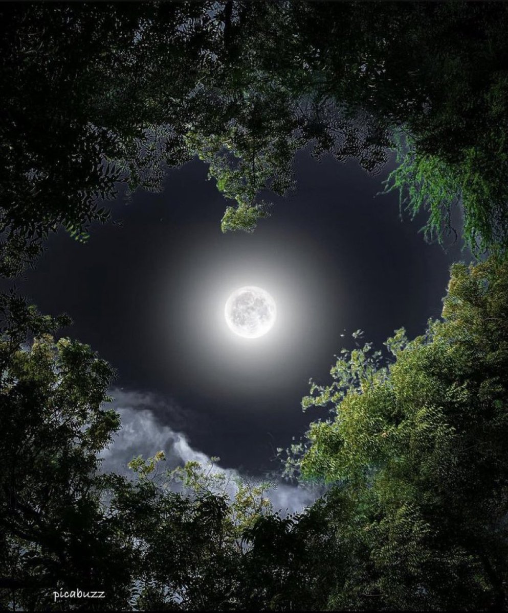 Full Moon lover.