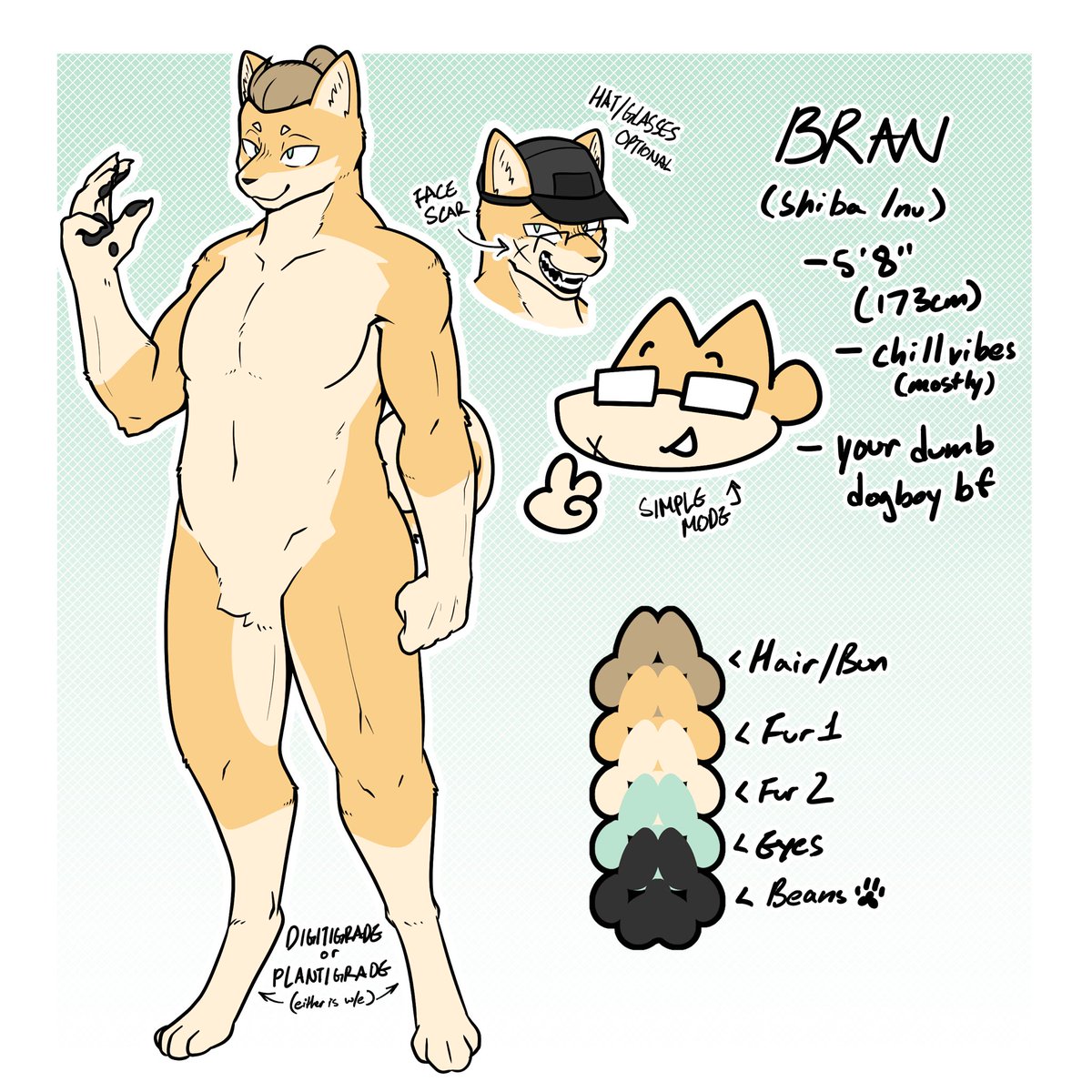 New year New ref