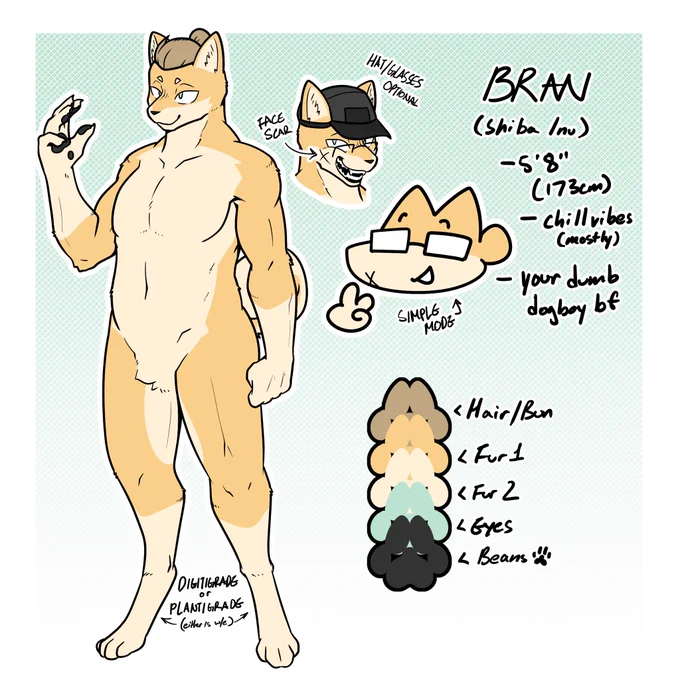 New year New ref