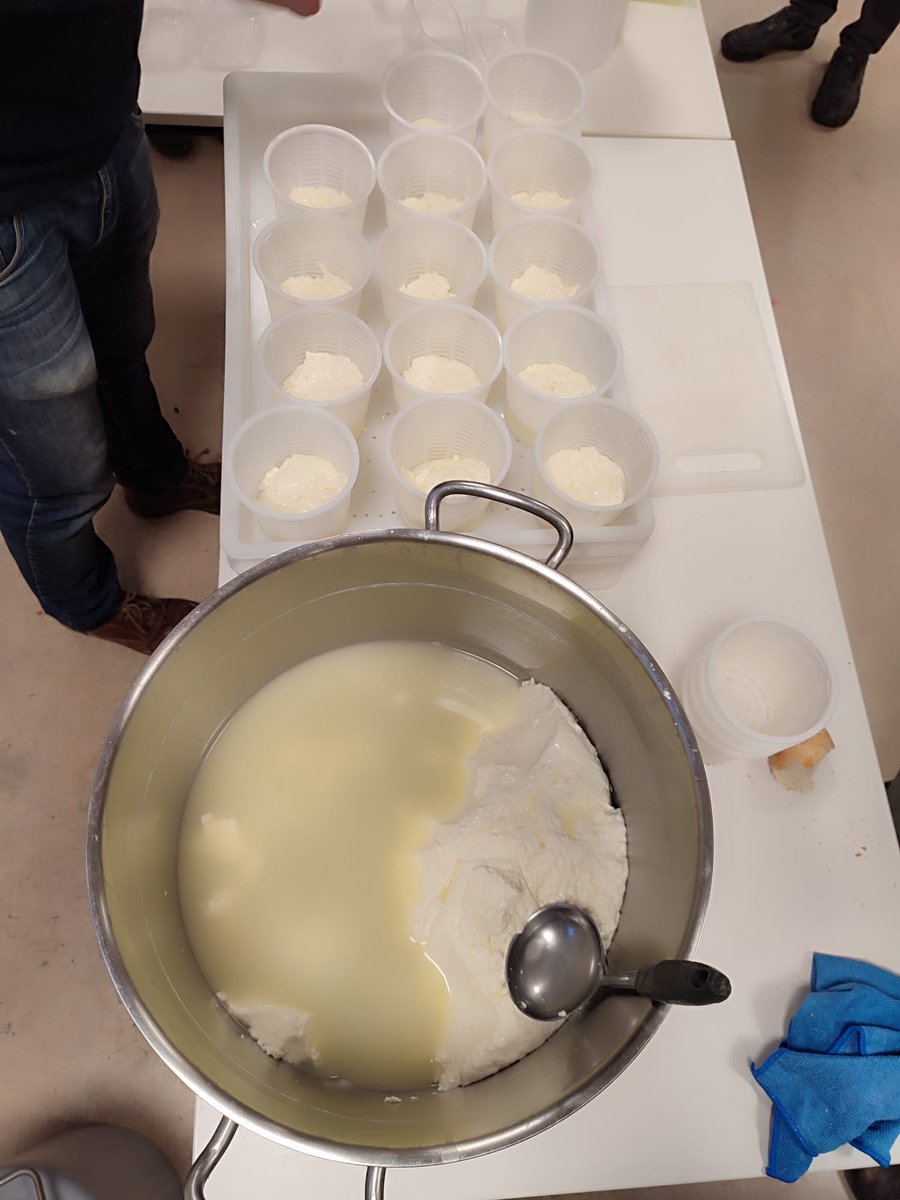 irunerrikoaek's tweet image. Gazta tallerra egin dugu gaur.
#EuskaraPraktikoa
#OnEgin