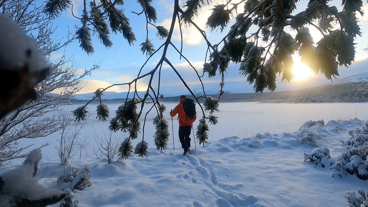 Loch Morlich firmly frozen. 😁👍 #Cairngorm #thinkWINTER