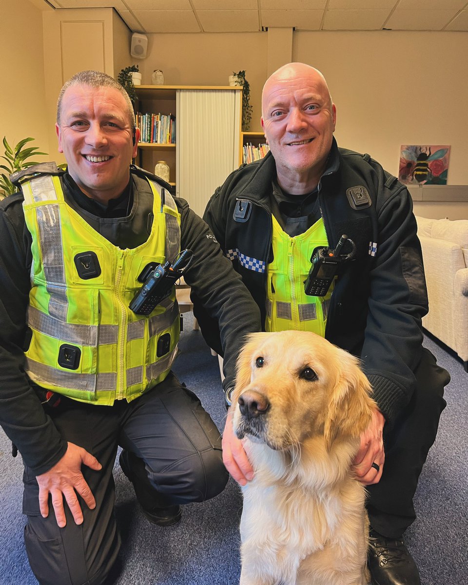 Bella the Therapy Dog tweet media