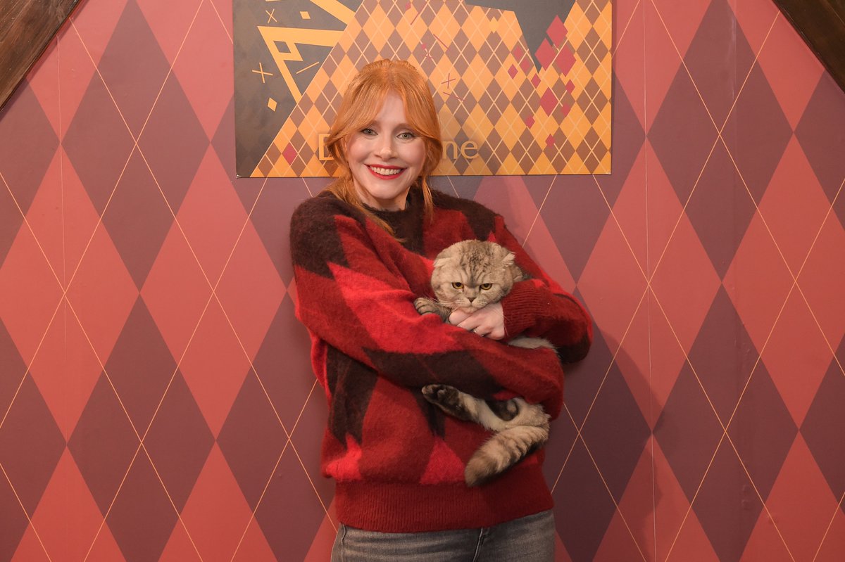 Bryce Dallas Howard e Chip! 😻🩷