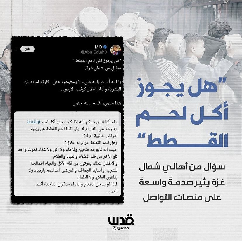 Fahedjaber7's tweet photo. 🚫أهلنا في غزة بسألوكم هل يجوز أكل لحم القطط وهل هناك أعراض جانبيه⛔،،،،،،....

#غزة_تستغيث

خليها توصل لأصحاب القرار في هذا العالم الوسخ. https://t.co/u9mUB7kD1v