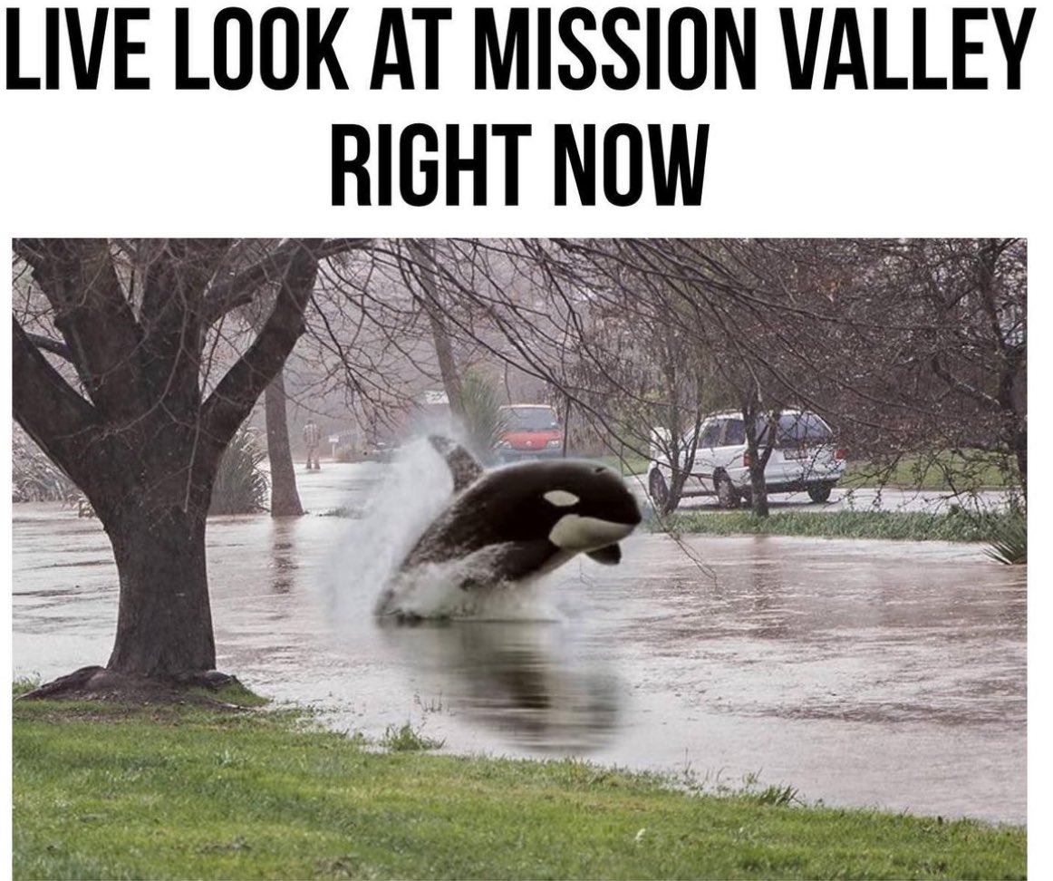 #sandiego #rain #flood #missionvalley