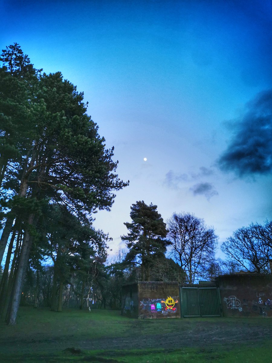 coast_durham's tweet image. #Peterlee