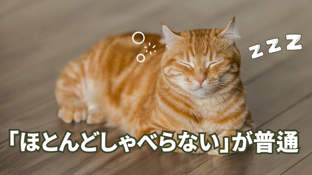反抗期の子どもが親と話さない｢理由｣

反抗期の子どもは、親と接するときに「必要最低限の会話の他は、ほとんどしゃべらない」ことを、自分から選択している。

反抗期の「表れ」として代表的なのが、暴言と暴力だ。
