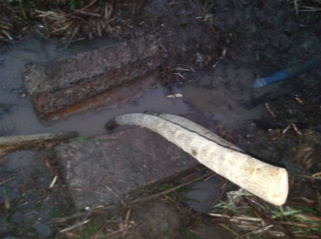 wasac_rwanda's tweet image. Turamenyesha abafatabuguzi bacu batuye @KicukiroDistr mu Murenge wa @KanombeSector mu tugari twa #Kabeza na #Rubirizi ko kubera iyangirika ry'umuyoboro badafite amazi.Turi gukora ibishoboka byose ngo dusane ahangiritse bitarenze iminsi itatu (3) basubirane amazi.Tubiseguyeho!