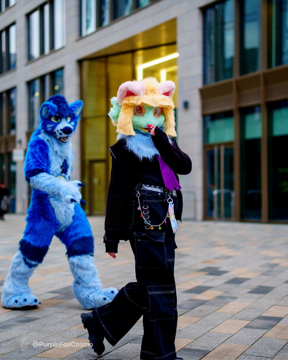 out here serving at @LeedsFurs 💜

#furry #fursuit #kemono #furryfandom