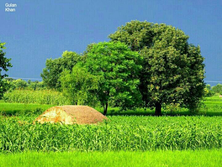 BThalho's tweet photo. ان دمکتے ہوئے شہروں کی فراواں مخلوق 
کیوں فقط مرنے کی حسرت میں جیا کرتی ہے

یہ حسیں کھیت پھٹا پڑتا ہے جوبن جن کا! 
کس لیے ان میں فقط بھوک اگا کرتی ہے

فیض احمد فیض

#کراچی 
#Karachi https://t.co/pM9QZuN5HR