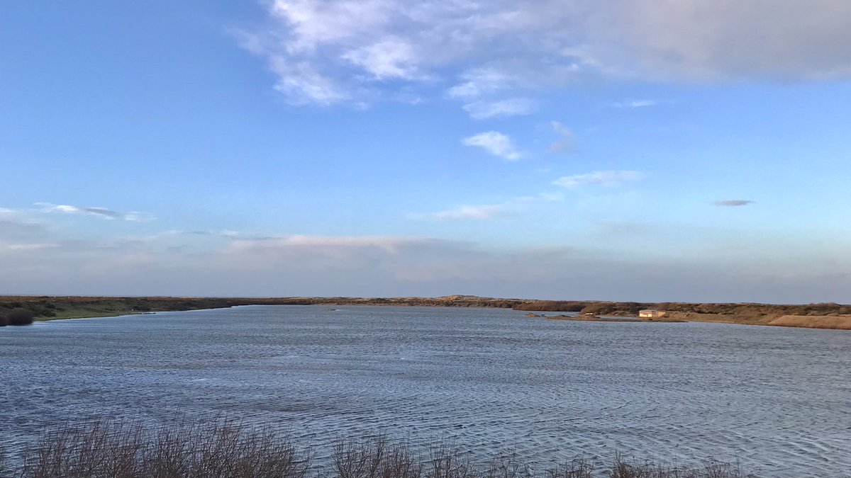 Gusty evening for <a href="/_BTO/">BTO</a> #WinGS tonight at manxbirdlife.im/point-of-ayre/. Roost seemed disrupted by the strong winds. Star bird (remember all things are relative!) was a Lesser B-b’d Gull - first Island record since mid-Nov. And there can’t be many gull roosts with no Black-h’d Gulls!