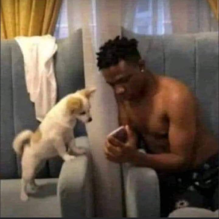 jackboy5e's tweet photo. Moi:Si tu vois Gasset et Idriss diallo il faut les mordre
Le chien : c'est comme si s'était fait https://t.co/jZWUrAVbcS