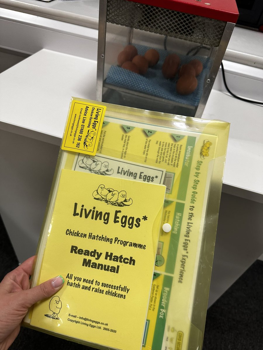 Hopefully some im-peck-able chicks hatch 🐣. Exciting day for our Y5s! #sciencecurriculum #livingthingsintheirhabitats #Y5