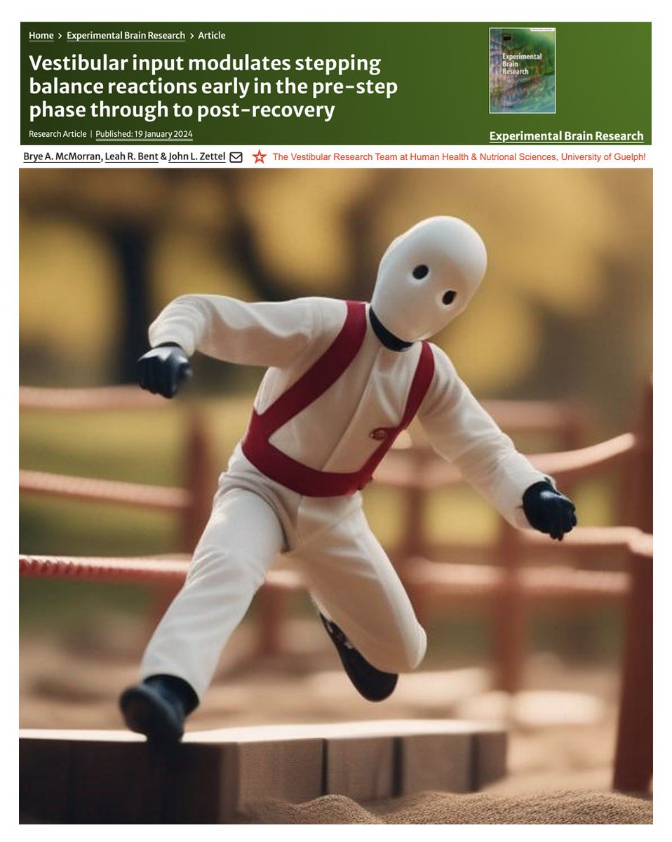 HHNS at UofG (@uofg_hhns) on Twitter photo 🦶Vestibular Input Affects Compensatory Stepping Balance
👣From Early Pre-Step Phase to Post-Recovery
🗞️Experimental Brain Research: link.springer.com/article/10.100…
🎓Brye McMorran, PhD Student <a href="/UofG_HHNS/">HHNS at UofG</a>, et al!
🥼Prof. John Zettel's Lab <a href="/UofGResearch/">UofGResearch</a>
🔬#WomenInScience
🏛️#UofG #UofGCBS 🦶Vestibular Input Affects Compensatory Stepping Balance
👣From Early Pre-Step Phase to Post-Recovery
🗞️Experimental Brain Research: link.springer.com/article/10.100…
🎓Brye McMorran, PhD Student <a href="/UofG_HHNS/">HHNS at UofG</a>, et al!
🥼Prof. John Zettel's Lab <a href="/UofGResearch/">UofGResearch</a>
🔬#WomenInScience
🏛️#UofG #UofGCBS