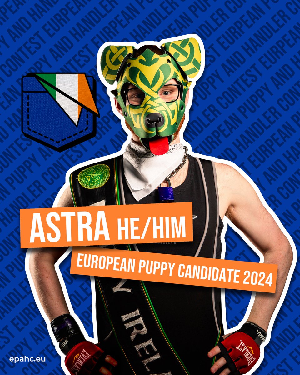 EuroPAHC's tweet photo. Introducing the candidates for European Puppy And Handler Contest 2024 @DarklandsFest 

Astra
representing Ireland
European Puppy Candidate 2024

Read about Astra‘s bio on our website. 
https://t.co/ZoDeKxk3r0 https://t.co/QXcJgKziAx