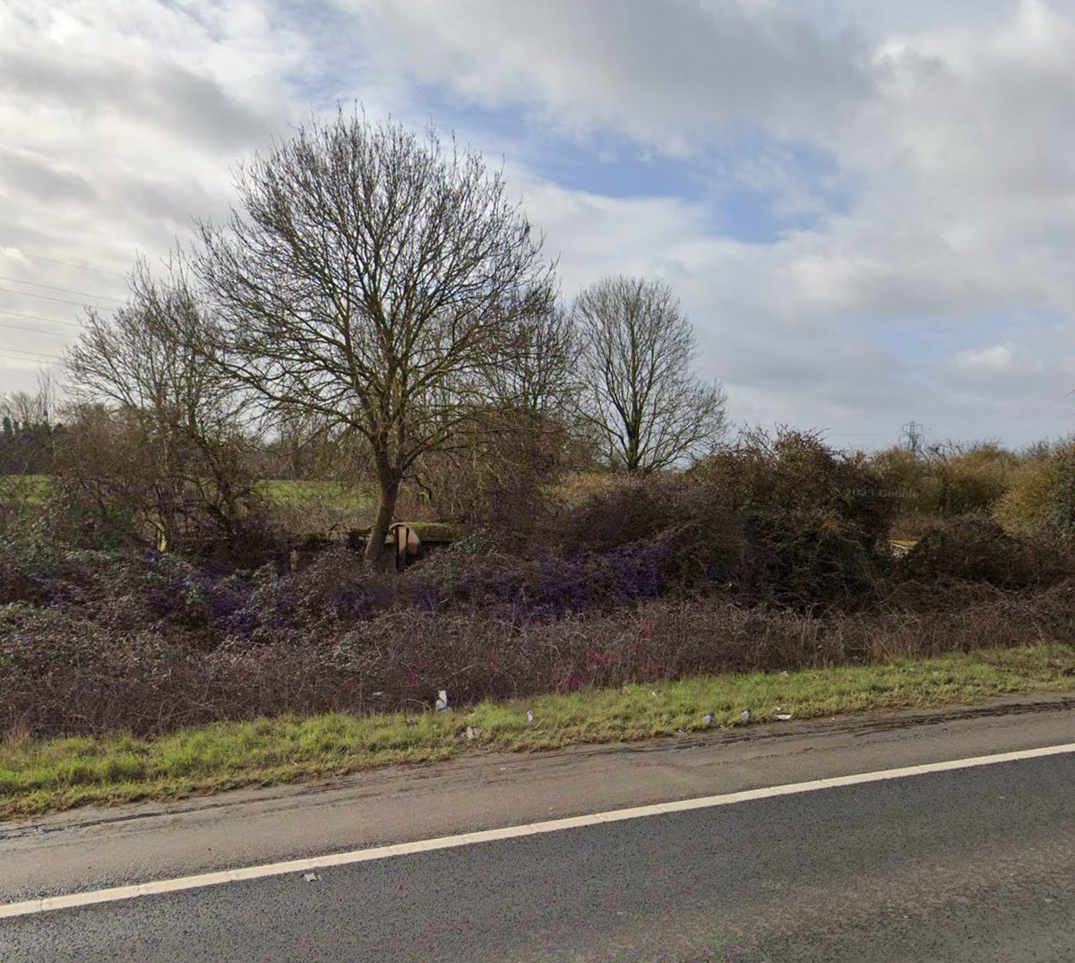 @FascinatingFens @itvanglia @1971Nh @FoxNarrowBoats @FenlandCouncil @wisbechmuseum @WisbechSociety @OctaviaHillBHse @PaulMagan2 I read something about this a year or two ago. I often wonder if the overgrown wagons on the side of the A47 by Elm Hall were part of the tramway. You can hardly see them now but they’re still there, just.