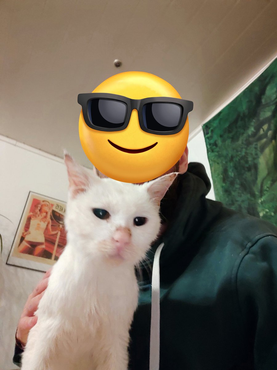 Das ist die Geschichte meines  Freundes.

Angefangen hat alles ca 2009, als mir im Tierheim ein weißer, einjähriger Kater über die Füße plumpste. Er war dort als Findelkitten mit einer schweren Ohrenentzündung abgegeben worden und wurde von den Betreuern gesund gepflegt
1/10