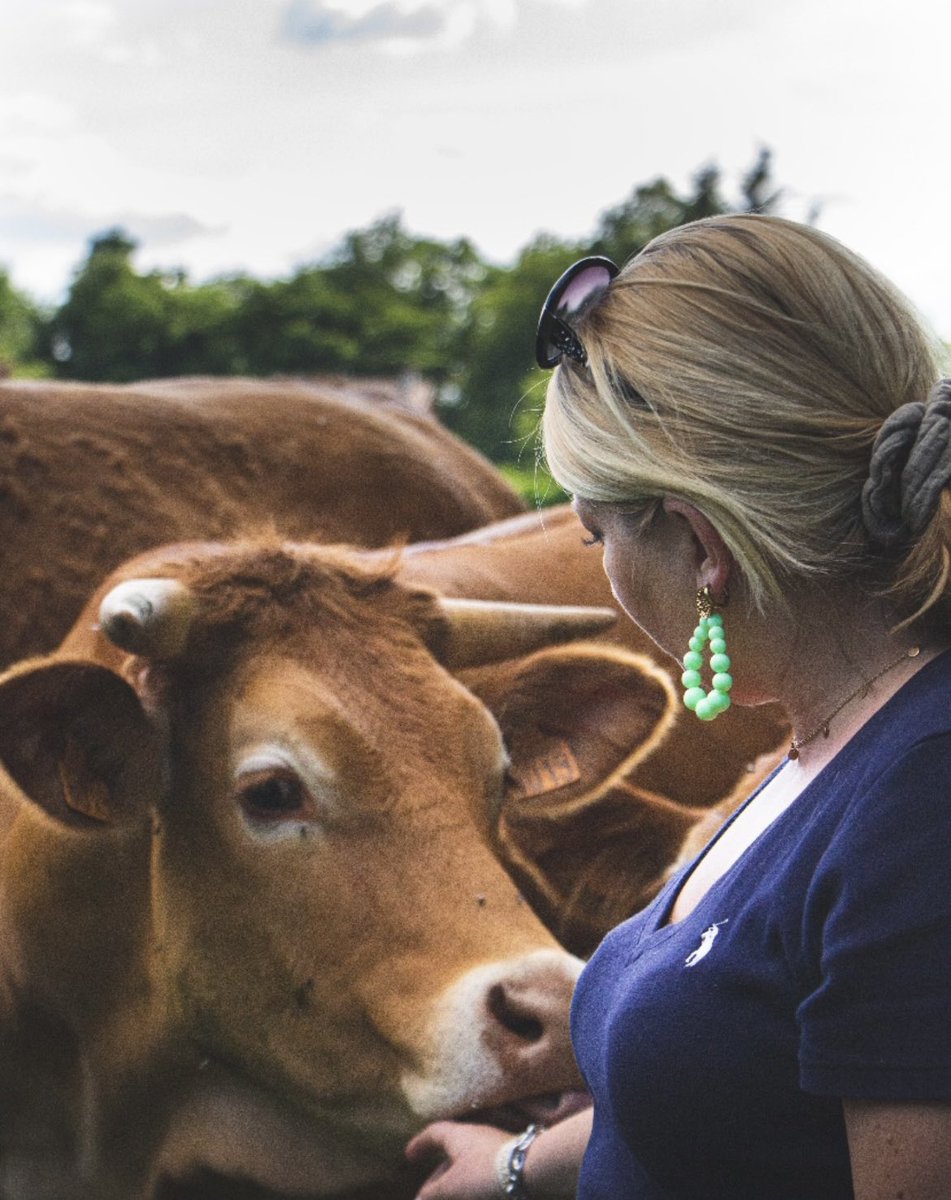 AuroreClisson's tweet photo. 🇫🇷Une photo pour soutenir l’#AgricultureFrancaise , soutien à nos #AgriculteursEnColere 🇫🇷 https://t.co/PVNqLpZKUY