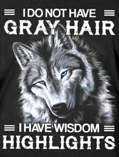 I have wisdom highlights. 🐾🐺

#wolf #wolves #Wolfpack #wolflovers #MondayMood #MondayMotivation #Mondayvibes #MondayMorning #Auschwitz #Suki #2k23 #Nico #Sarah #Clark #JUSTANNOUNCED #Babies