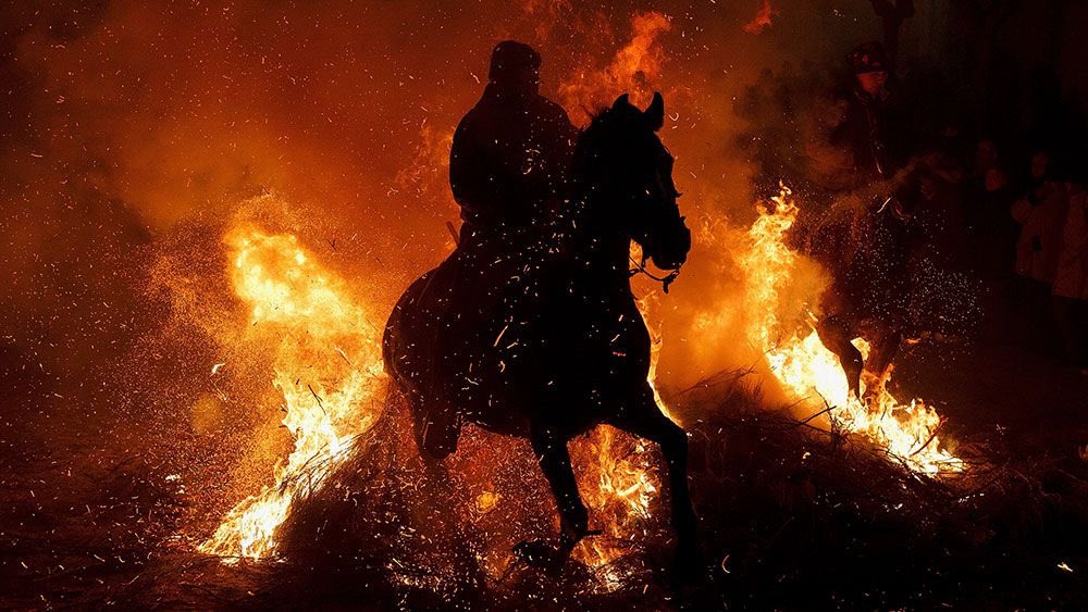 وَالخَيلُ تَعلمُ أَنّي مِن فَوارِسِها
 يَومَ الطِّعانِ وَقَلبُ النّاسِ يَرتَعِدُ

•الحَارثُ بن عبَاد