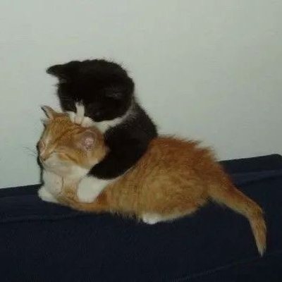 kinberlymichell's tweet image. Society is the government, is the army. Society is the indomitable force