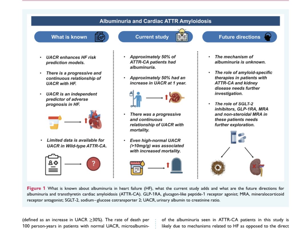📌Kidney Involvement in Transthyretin Cardiac Amyloidosis ✅Role of UACR and Need for Further Evidence Generation Editorial: onlinelibrary.wiley.com/doi/10.1002/ej… Original Article: onlinelibrary.wiley.com/doi/10.1002/ej…