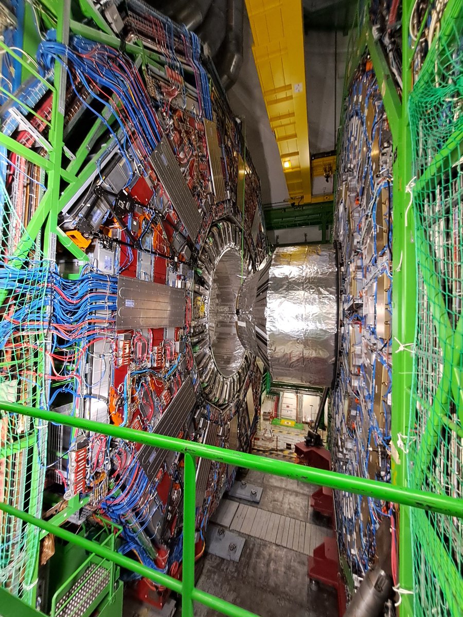 Kathryn Coldham tweet media