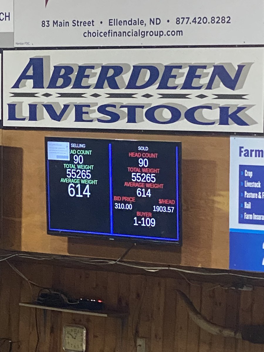 01/22/24 180 head average 610 lbs $310.00